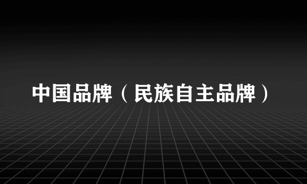 中国品牌（民族自主品牌）