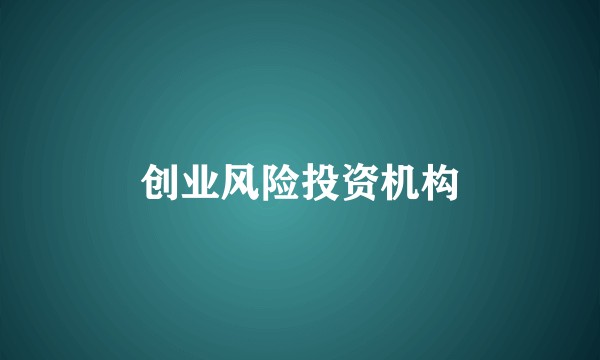 创业风险投资机构