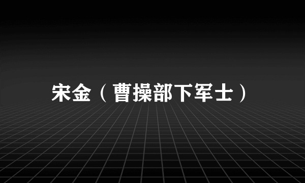 宋金（曹操部下军士）