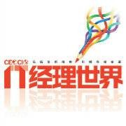 it经理世界