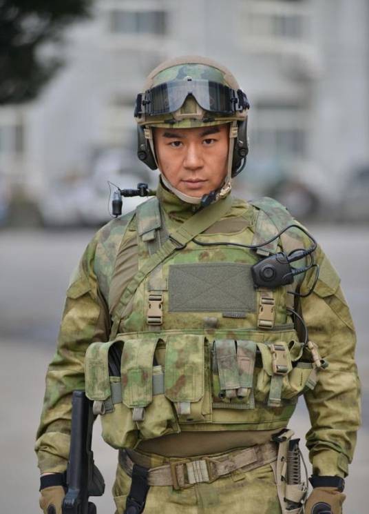 雷战（电视剧《特种兵之火凤凰》中的男主角）