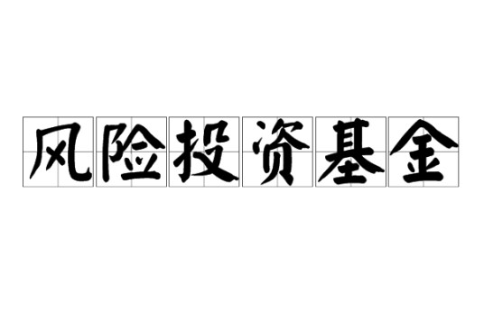 风险投资基金（经济学术语）