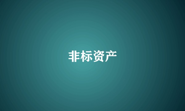 非标资产