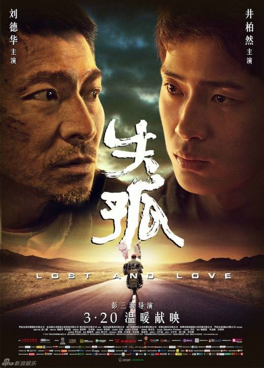 失孤（2015年刘德华主演的剧情电影）