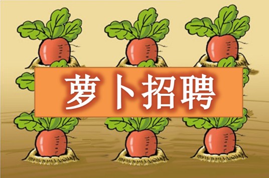“萝卜”招聘