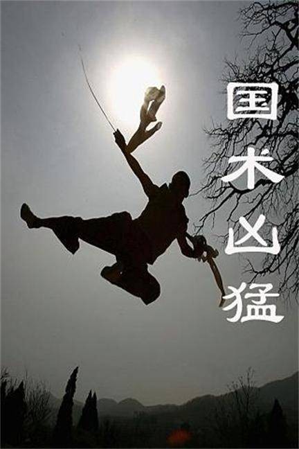 国术凶猛（2010年网络作者小子无胆所著武侠仙侠小说）