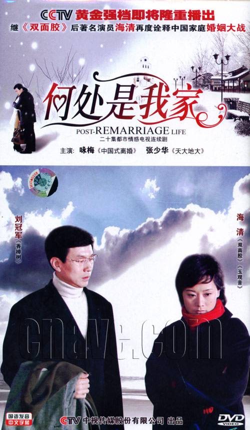 何处是我家（咏梅主演电视剧）