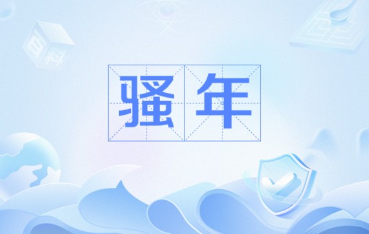 骚年（网络流行词）