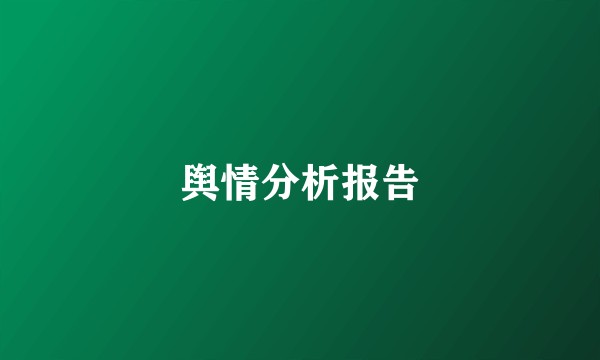 舆情分析报告