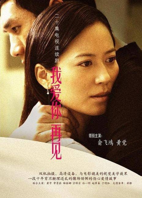 我爱你,再见(俞飞鸿主演电视剧)