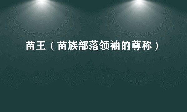 苗王（苗族部落领袖的尊称）