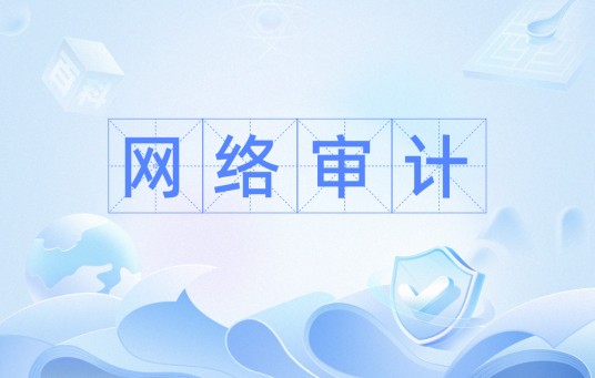 网络审计