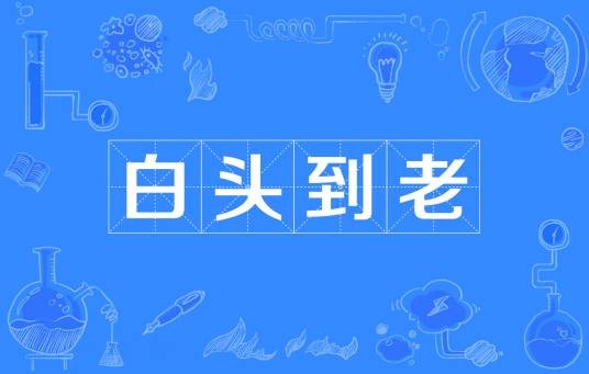 白头到老(成语)
