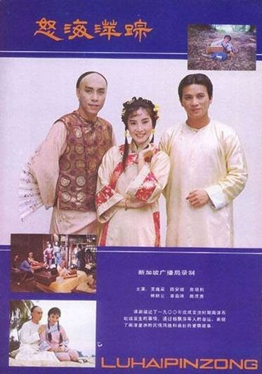 怒海萍踪（1984年吴岱融出演的新加坡剧集）