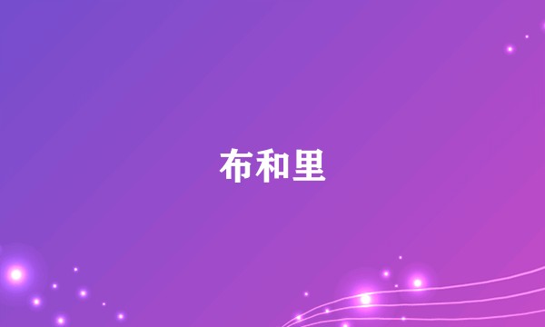 布和里