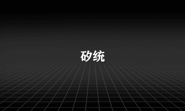 矽统