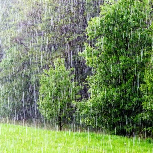 雨(自然现象)