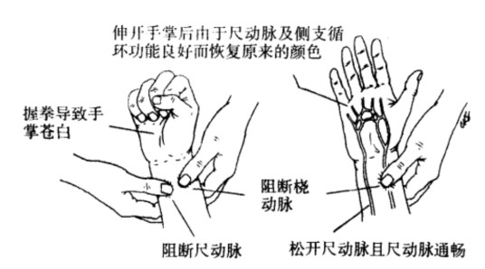 艾伦试验