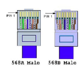 568A