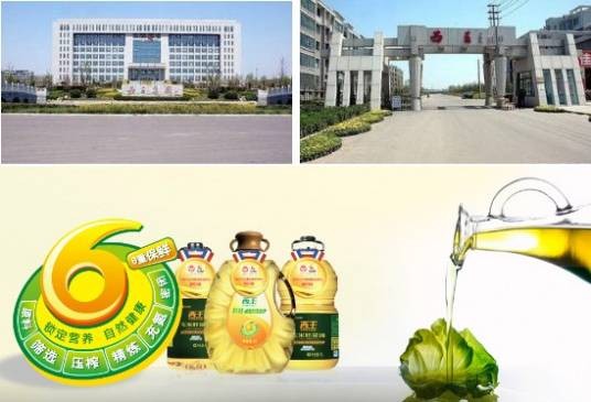 西王村(山东省滨州市邹平市韩店镇下辖村)