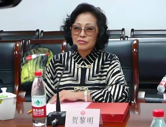 贺黎明（中国民族贸易促进会会长）