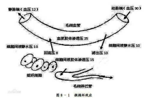胶体渗透压
