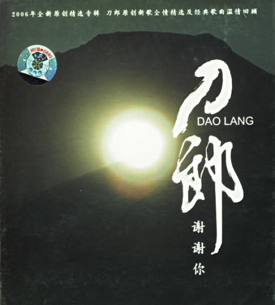 谢谢你（2006年刀郎演唱歌曲）