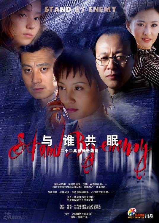 与敌共眠(柳国庆执导的电视剧)