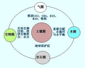 土壤学（农业科学基础学科）