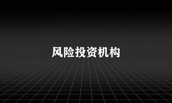 风险投资机构