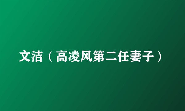 文洁（高凌风第二任妻子）