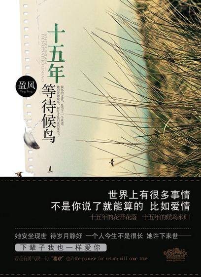 十五年等待候鸟(2010年江苏文艺出版社出版的图书)