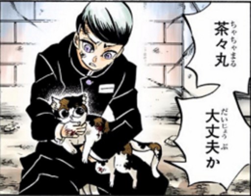 茶茶丸（日本漫画《鬼灭之刃》及其衍生作品中的角色）