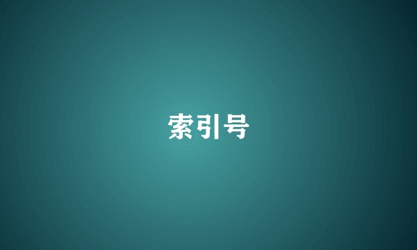 索引号
