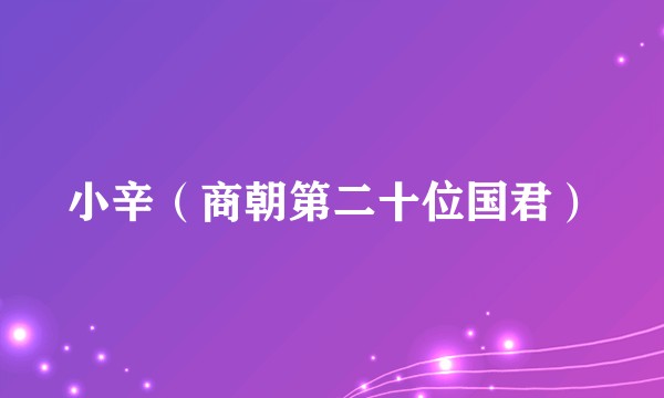 小辛（商朝第二十位国君）