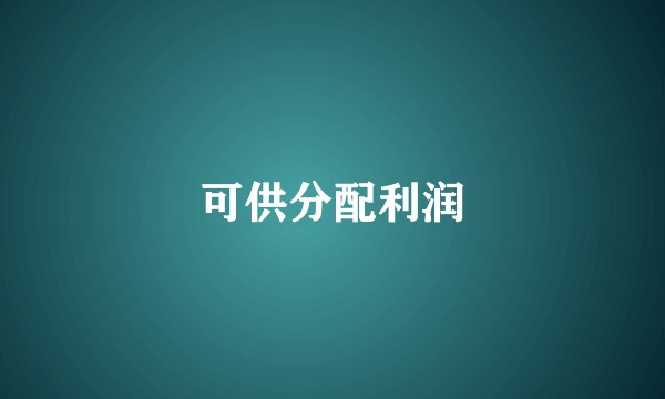 可供分配利润