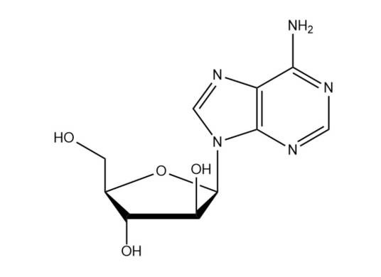 阿糖腺苷