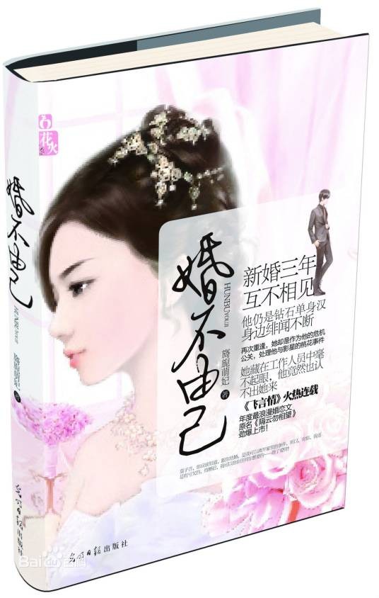 婚不由己（2012年光明日报出版社出版的图书）