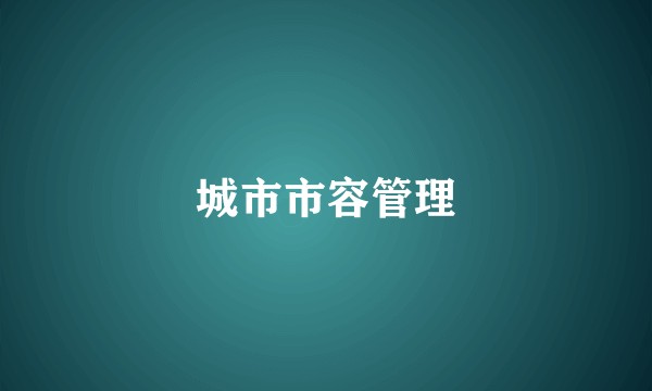 城市市容管理