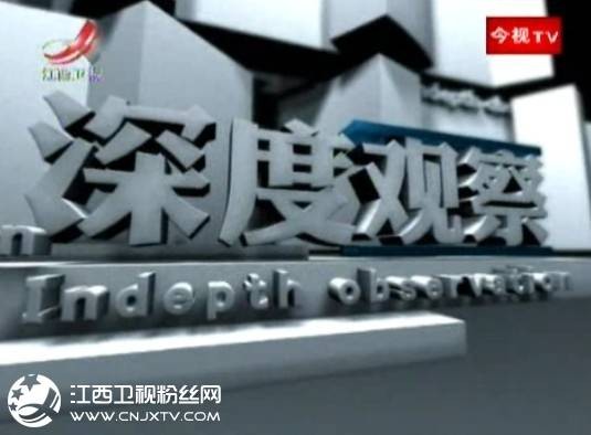 深度观察