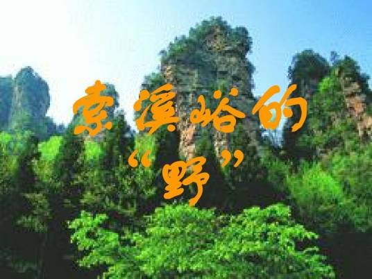 索溪峪的“野”