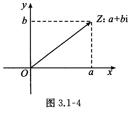 纯虚数