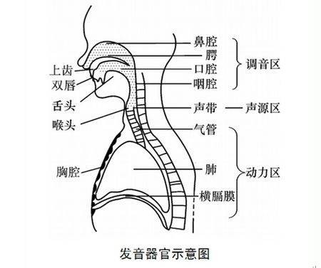 周期性结巴