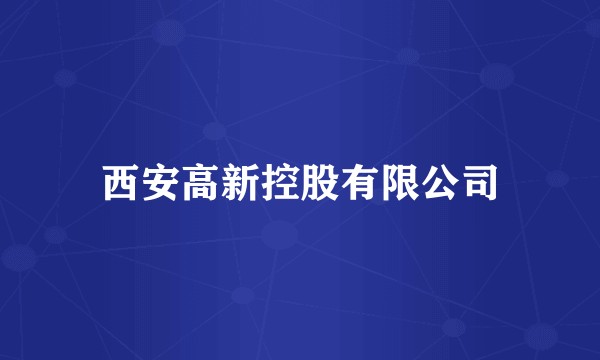 西安高新控股有限公司