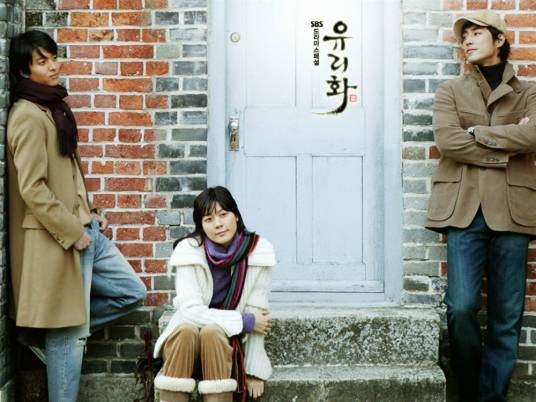 玻璃花（韩国2004年李昌顺执导的电视剧）