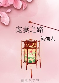 宠妻之路（笑佳人创作的言情类网络小说）