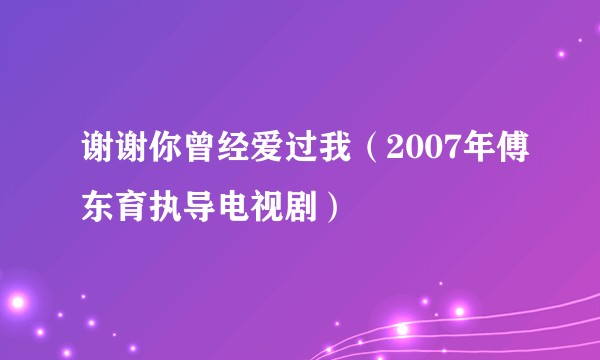 谢谢你曾经爱过我（2007年傅东育执导电视剧）