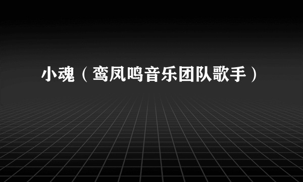 小魂（鸾凤鸣音乐团队歌手）