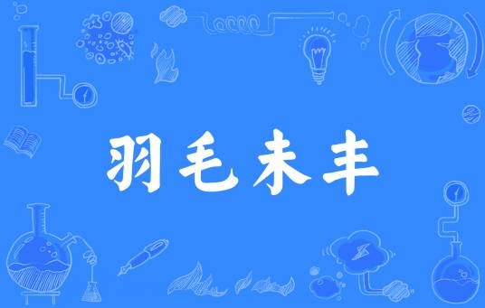 羽毛未丰（汉语成语）