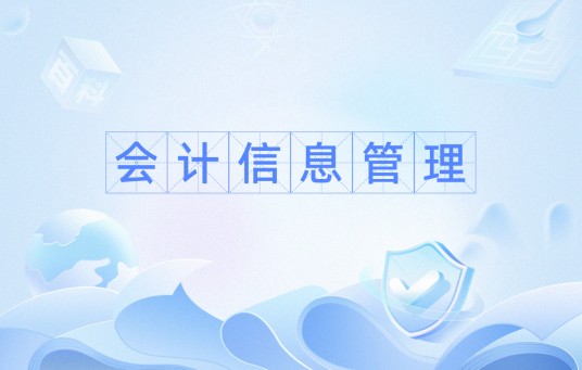 会计信息管理（会计学名词）